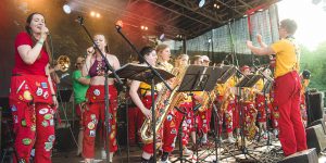 Bild Allmand Chaoten Orchester e. V.