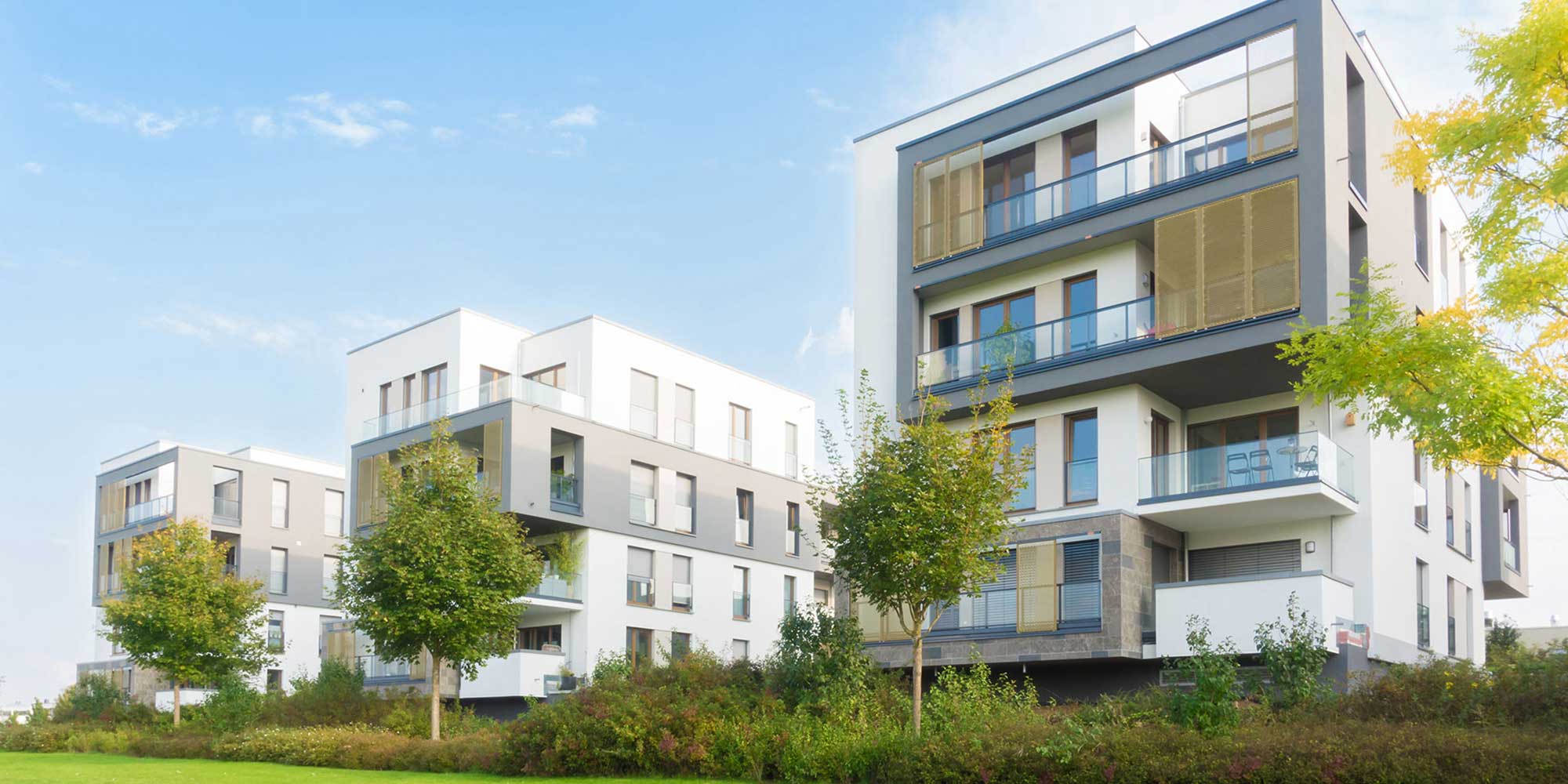 Bild IMR Immobilien Management Rück