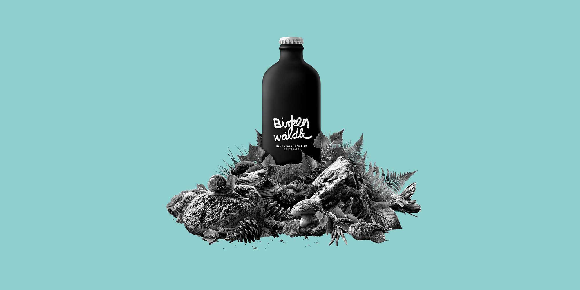 Bild Birkenwäldle Stuttgart-Vaihingen