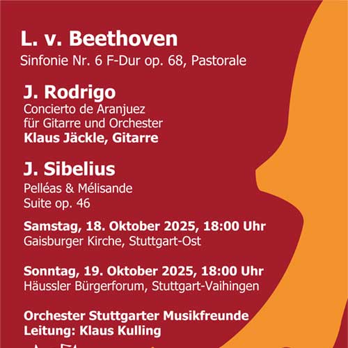 Orchester Stuttgarter Musikfreunde e. V.