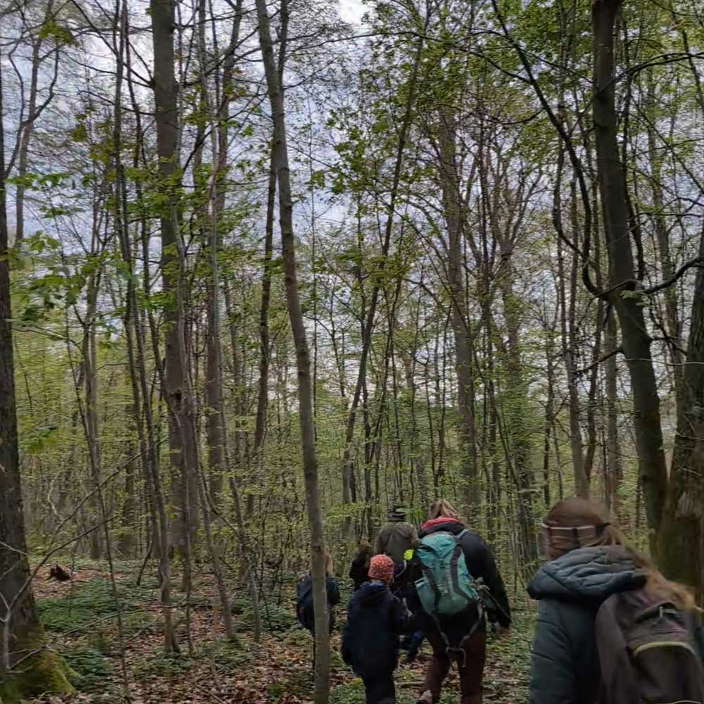Veranstaltung Walderkundung mit Jäger Manuel in Stuttgart-Vaihingen