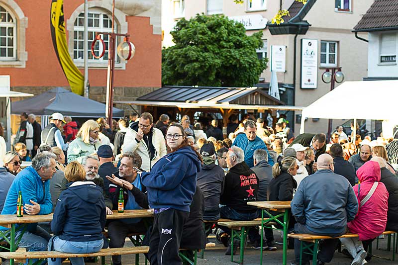 Beitrag Maibaumfest 2026 in Stuttgart-Vaihingen