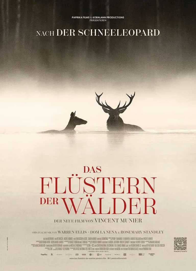 Bild-Stadtteilkino-das-fluestern-der-waelder Bild Stadtteilkino Dürrlewang – Das Flüstern der Wälder
